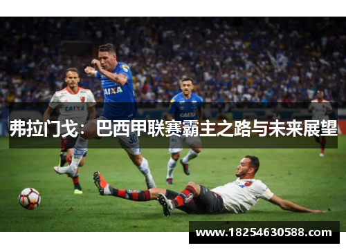 弗拉门戈：巴西甲联赛霸主之路与未来展望
