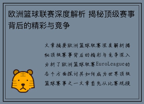 欧洲篮球联赛深度解析 揭秘顶级赛事背后的精彩与竞争